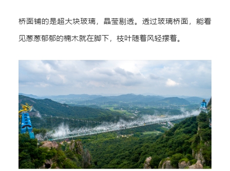 午夜熟女插插XX免费视频