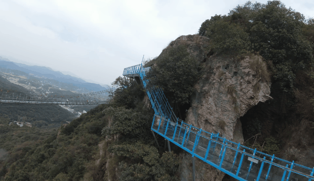 午夜熟女插插XX免费视频