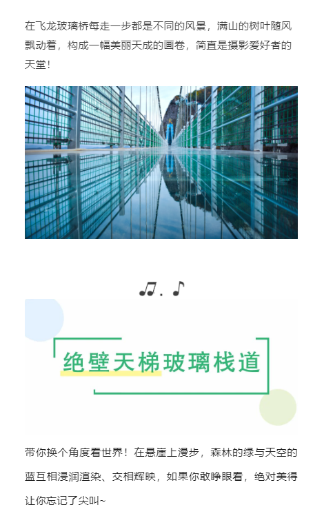 午夜熟女插插XX免费视频