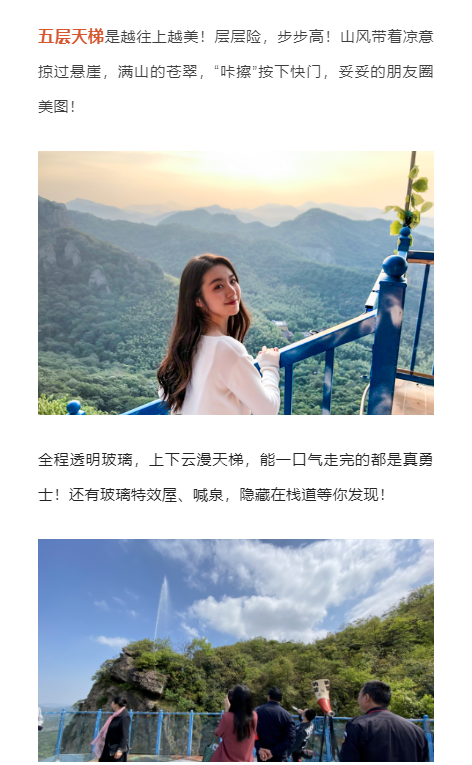 午夜熟女插插XX免费视频