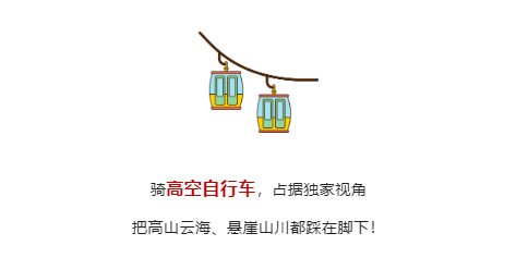 午夜熟女插插XX免费视频