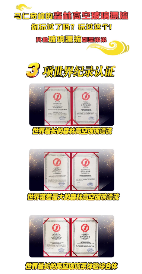 午夜熟女插插XX免费视频