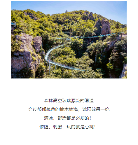 午夜熟女插插XX免费视频