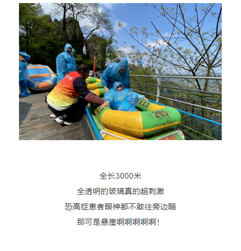 午夜熟女插插XX免费视频