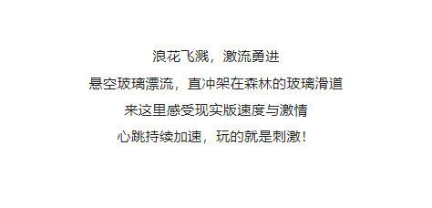 午夜熟女插插XX免费视频