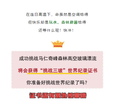 午夜熟女插插XX免费视频