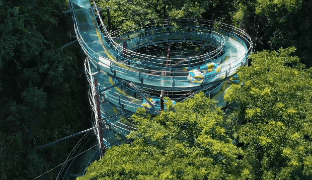 午夜熟女插插XX免费视频