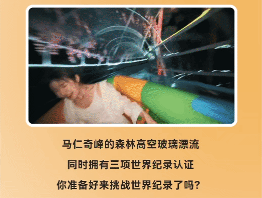 午夜熟女插插XX免费视频