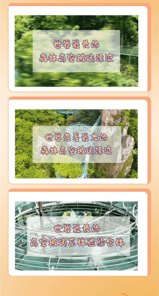 午夜熟女插插XX免费视频