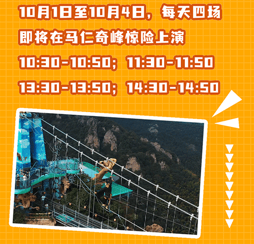 午夜熟女插插XX免费视频