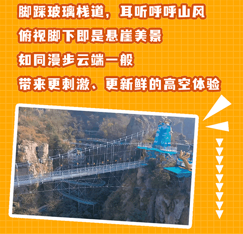 午夜熟女插插XX免费视频