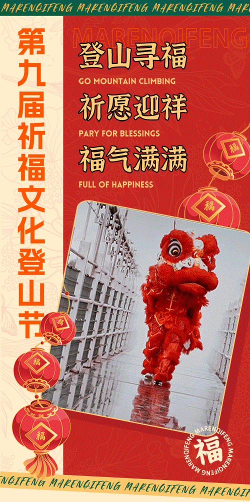 午夜熟女插插XX免费视频