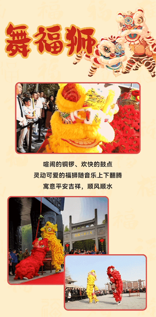 午夜熟女插插XX免费视频