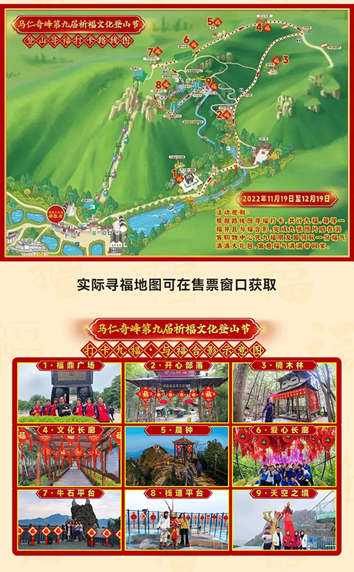 午夜熟女插插XX免费视频