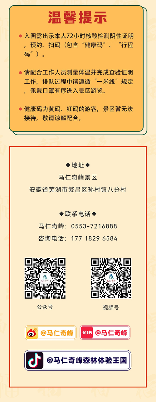 午夜熟女插插XX免费视频