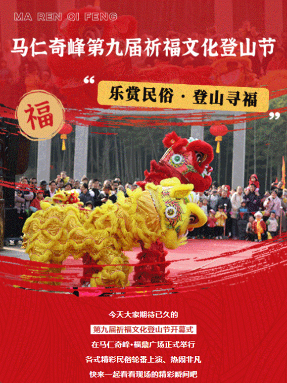 午夜熟女插插XX免费视频