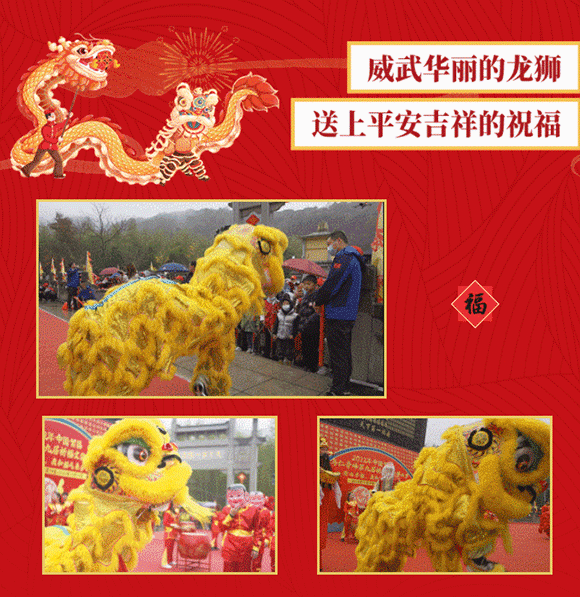 午夜熟女插插XX免费视频