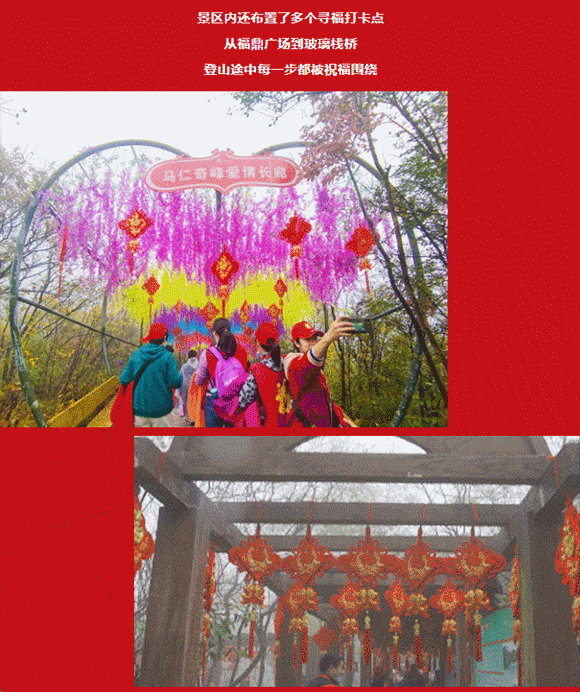 午夜熟女插插XX免费视频