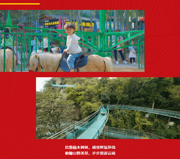 午夜熟女插插XX免费视频