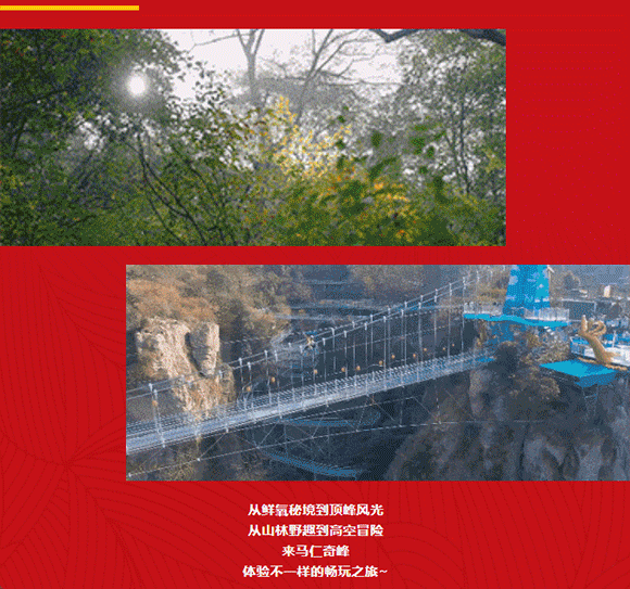 午夜熟女插插XX免费视频