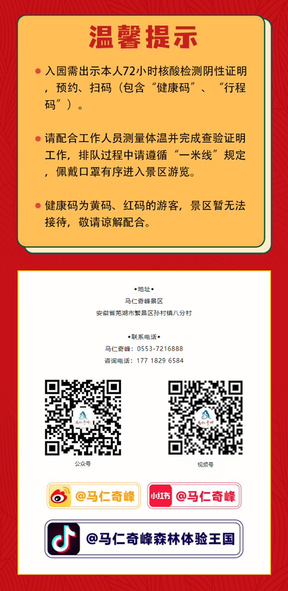 午夜熟女插插XX免费视频