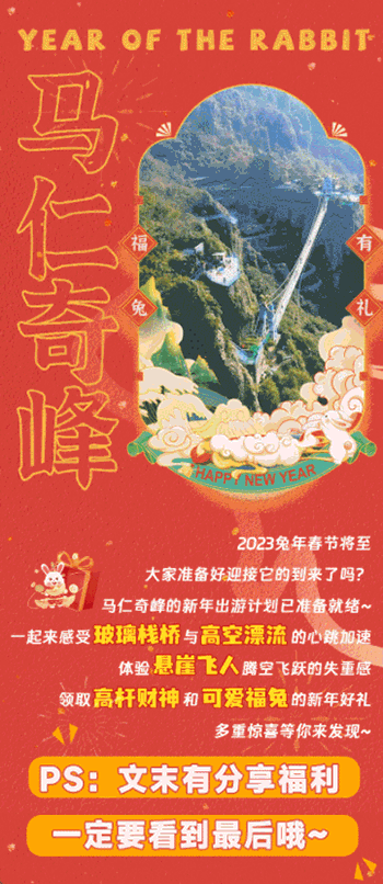 午夜熟女插插XX免费视频