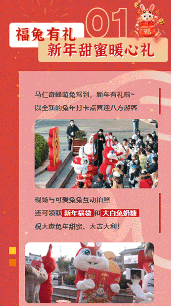 午夜熟女插插XX免费视频