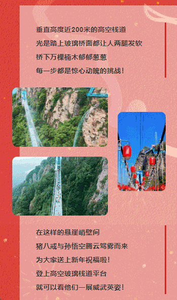 午夜熟女插插XX免费视频