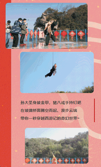 午夜熟女插插XX免费视频