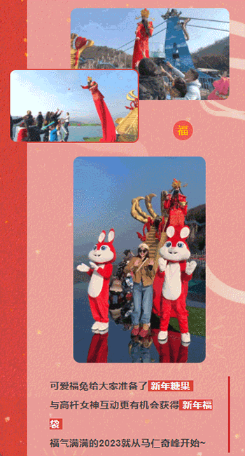 午夜熟女插插XX免费视频