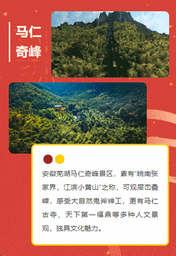 午夜熟女插插XX免费视频