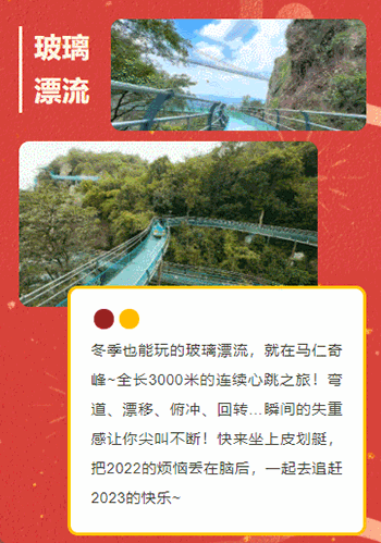 午夜熟女插插XX免费视频