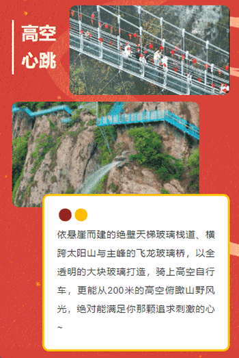 午夜熟女插插XX免费视频