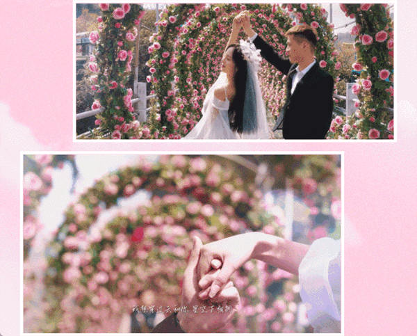 午夜熟女插插XX免费视频