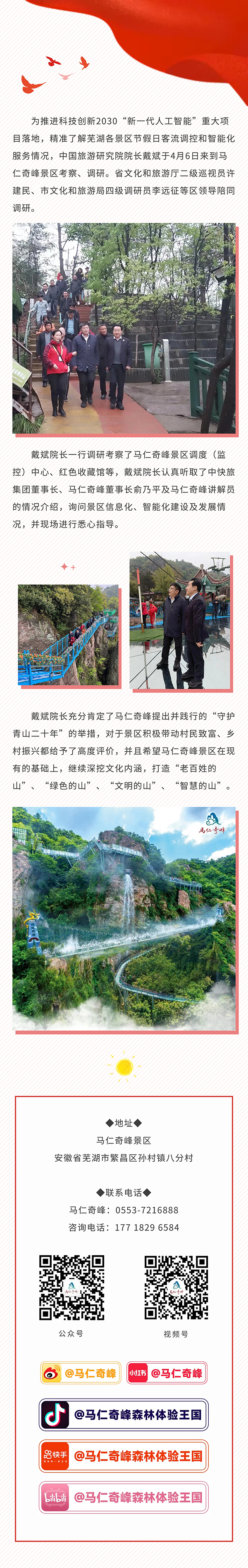 午夜熟女插插XX免费视频