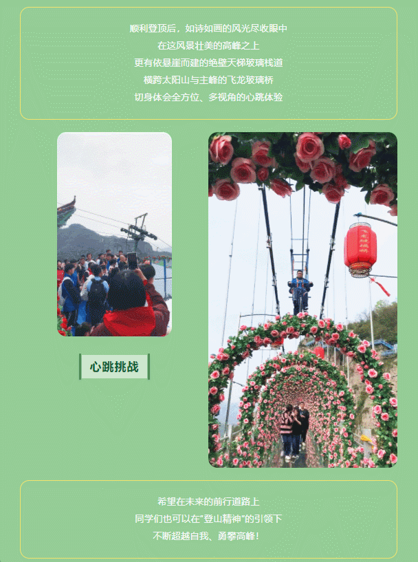 午夜熟女插插XX免费视频