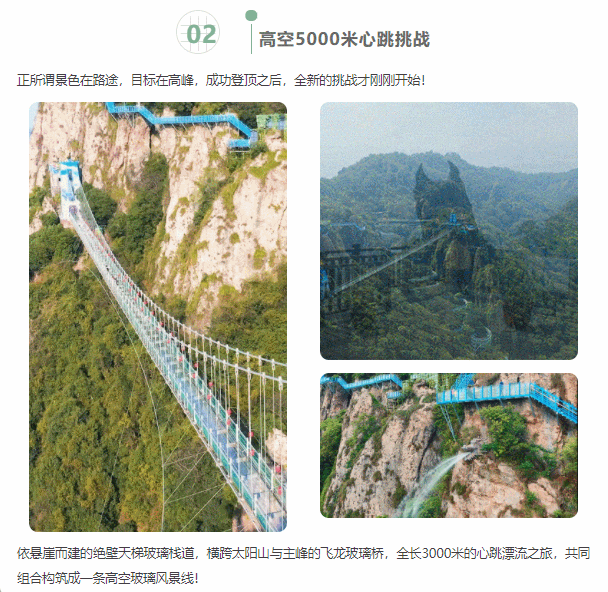 午夜熟女插插XX免费视频