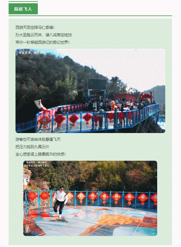 午夜熟女插插XX免费视频