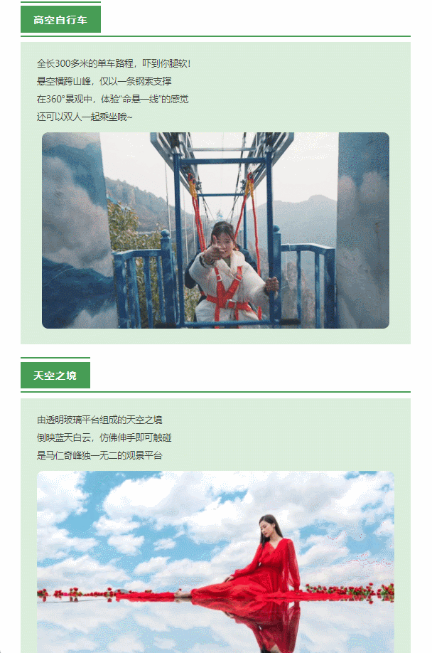 午夜熟女插插XX免费视频