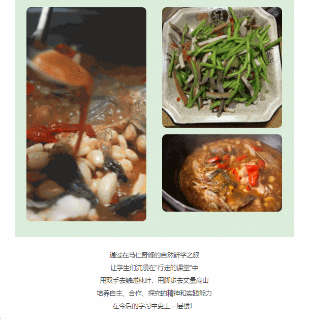 午夜熟女插插XX免费视频