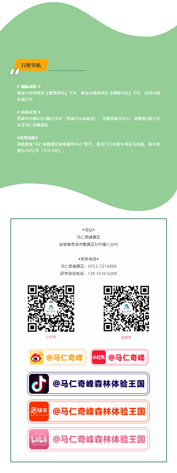 午夜熟女插插XX免费视频