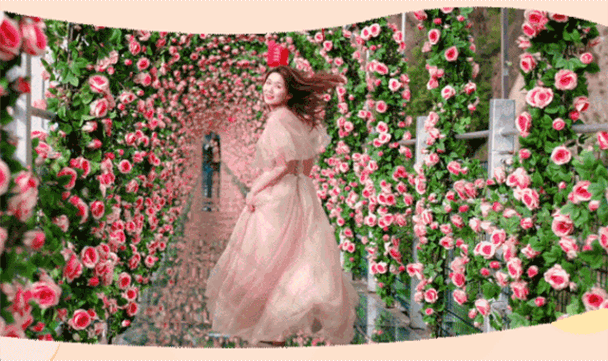 午夜熟女插插XX免费视频