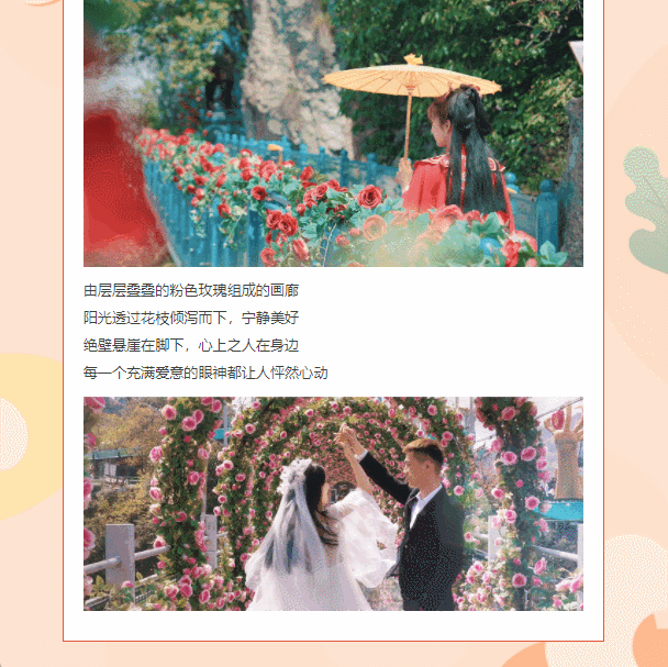 午夜熟女插插XX免费视频