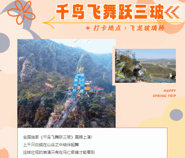 午夜熟女插插XX免费视频