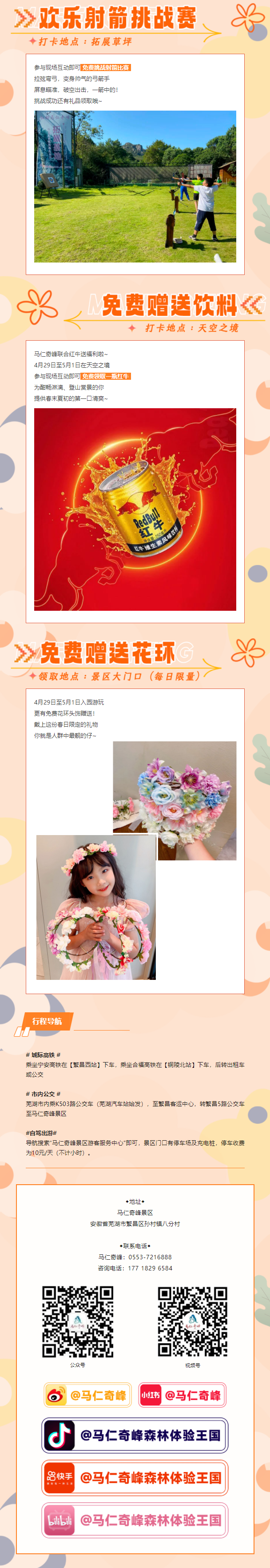 午夜熟女插插XX免费视频