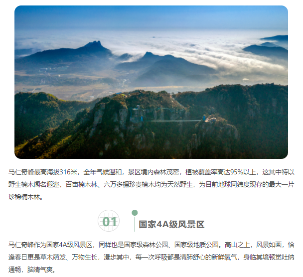 午夜熟女插插XX免费视频