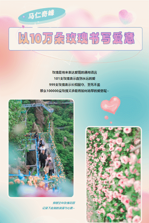 午夜熟女插插XX免费视频