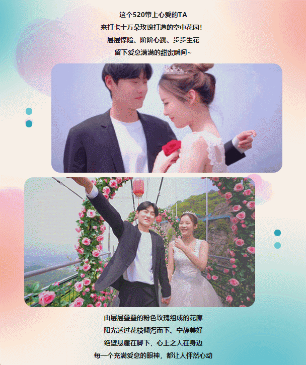 午夜熟女插插XX免费视频