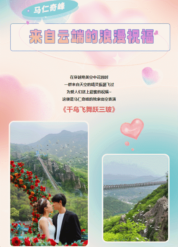 午夜熟女插插XX免费视频