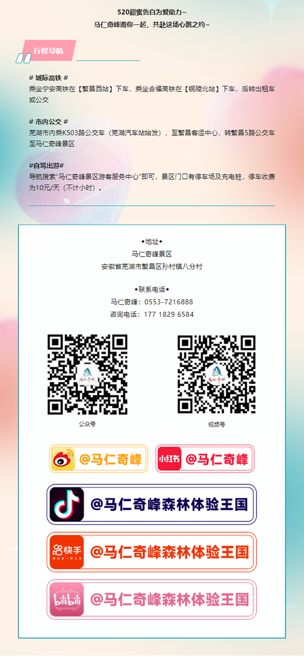 午夜熟女插插XX免费视频